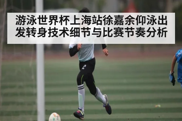 游泳世界杯上海站徐嘉余仰泳出发转身技术细节与比赛节奏分析