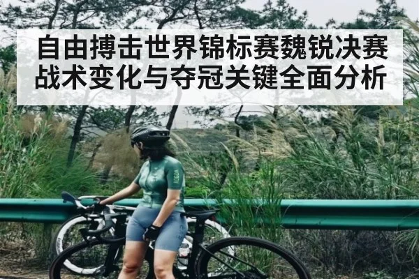 自由搏击世界锦标赛魏锐决赛战术变化与夺冠关键全面分析